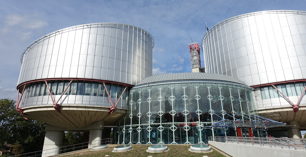 El Tribunal Europeo de Derechos Humanos: funcionamiento, procedimiento de acceso y jurisprudencia (2ª edición)